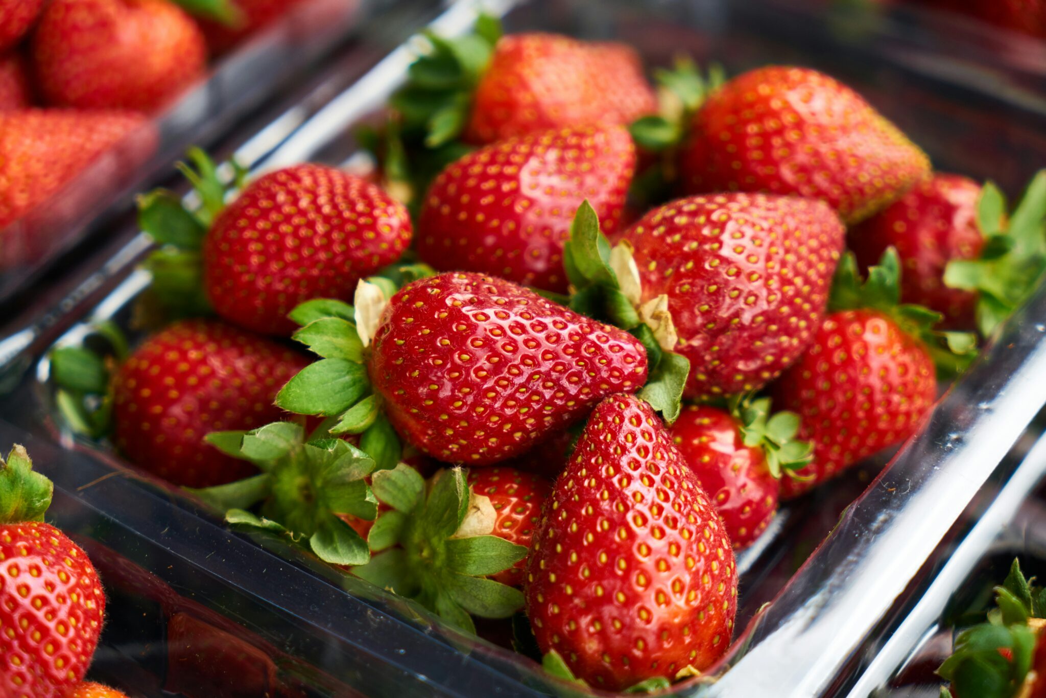 close up shot of strawberries in a box